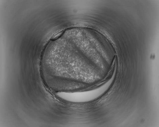 X0000090880434200708171648