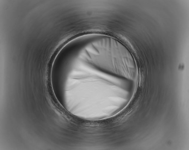 X0000090880435200708171648