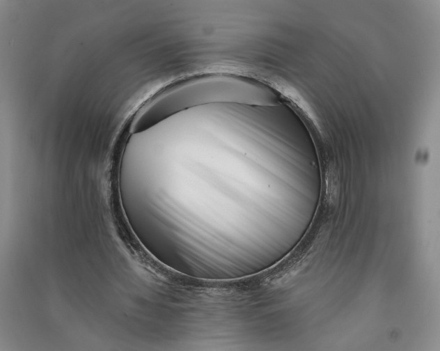 X0000090880436200708171648