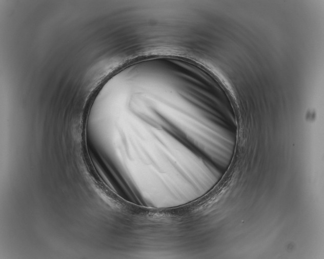 X0000090880437200708171648