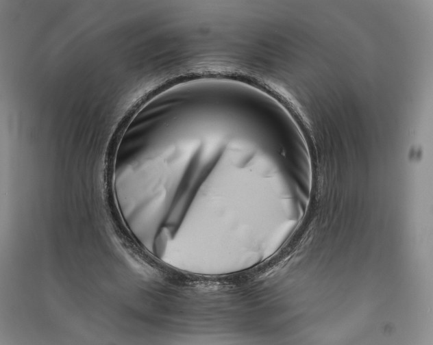 X0000090880439200708171648