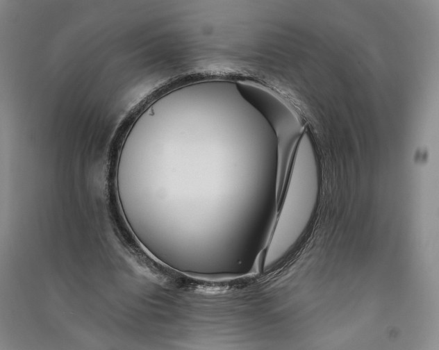 X0000090880440200708171648