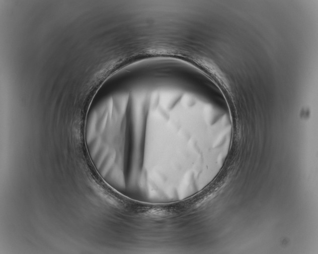 X0000090880441200708171648