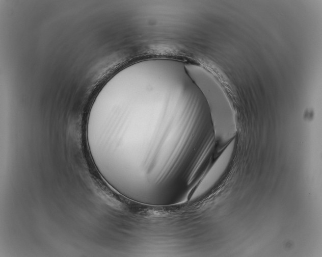 X0000090880442200708171648