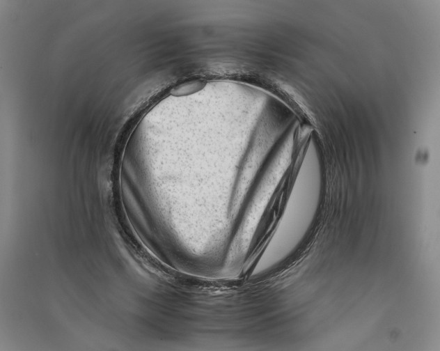 X0000090880443200708171648