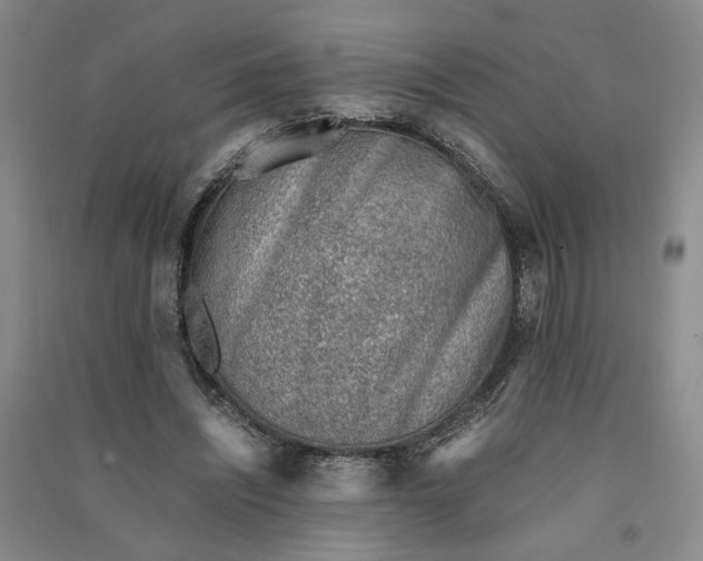 X0000090880444200708171649