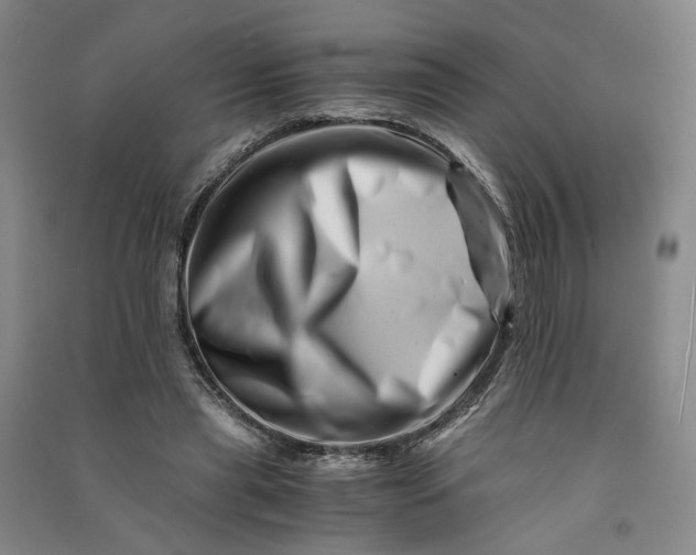 X0000090880445200708171649