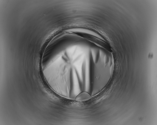 X0000090880446200708171649