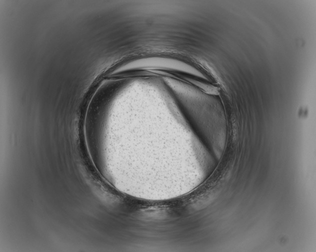 X0000090880447200708171649