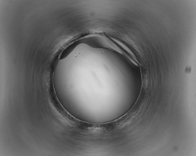 X0000090880448200708171649