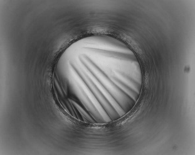 X0000090880449200708171649