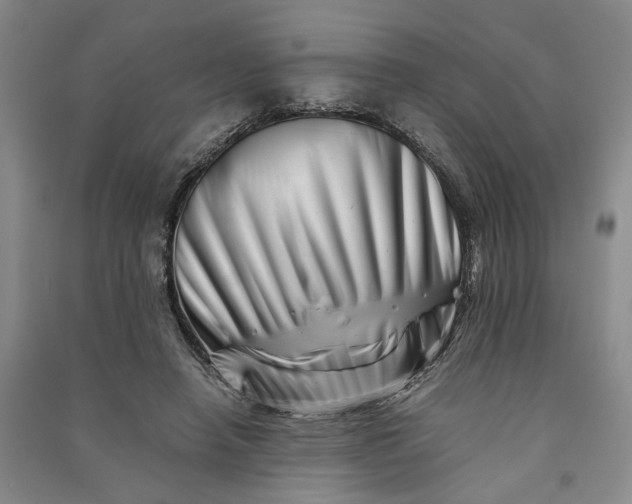 X0000090880450200708171649