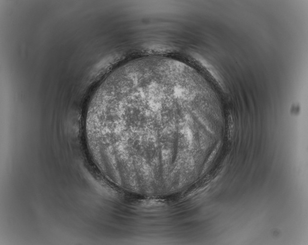 X0000090880451200708171649