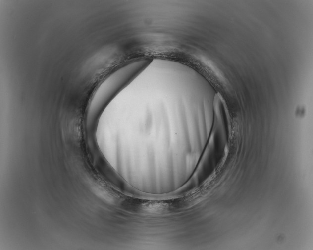 X0000090880452200708171649