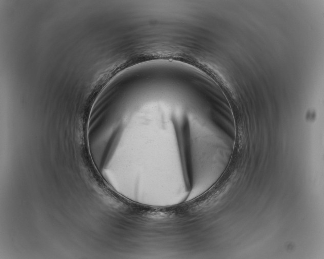 X0000090880453200708171649