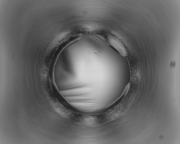 X0000090880456200708171649