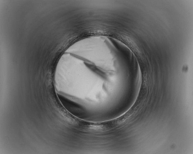 X0000090880457200708171649