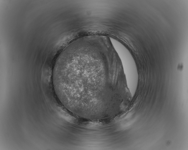 X0000090880458200708171649