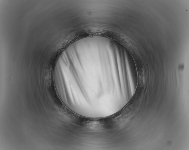 X0000090880460200708171649