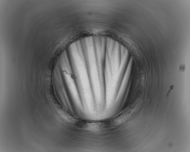 X0000090880461200708171649