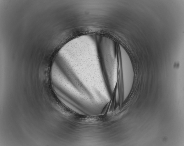 X0000090880462200708171649