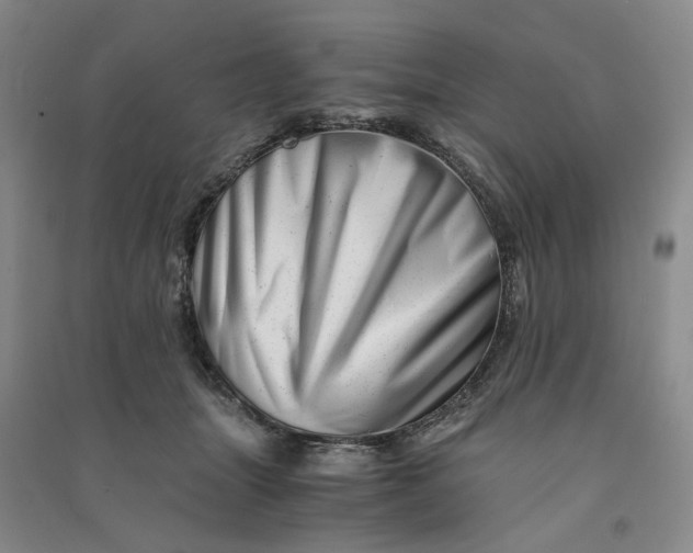 X0000090880463200708171649