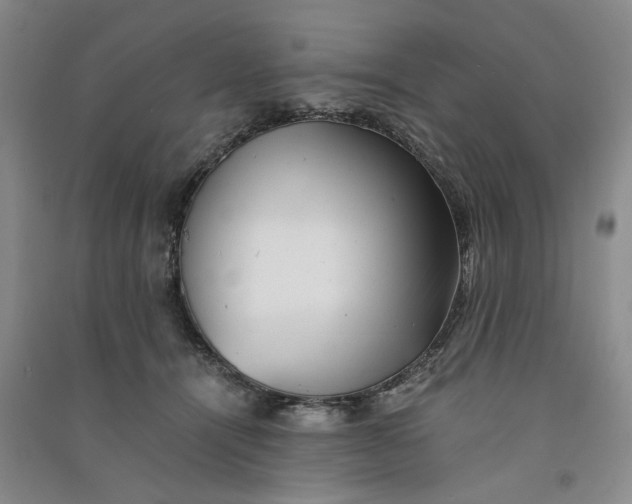 X0000090880464200708171649