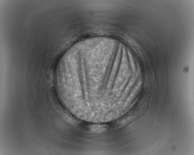 X0000090880465200708171649