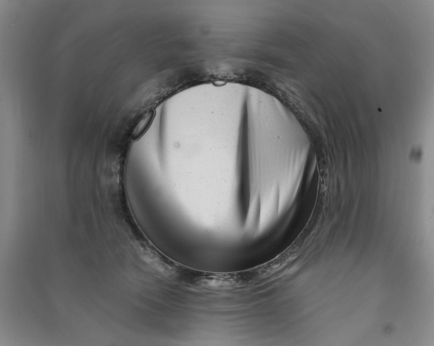 X0000090880466200708171649