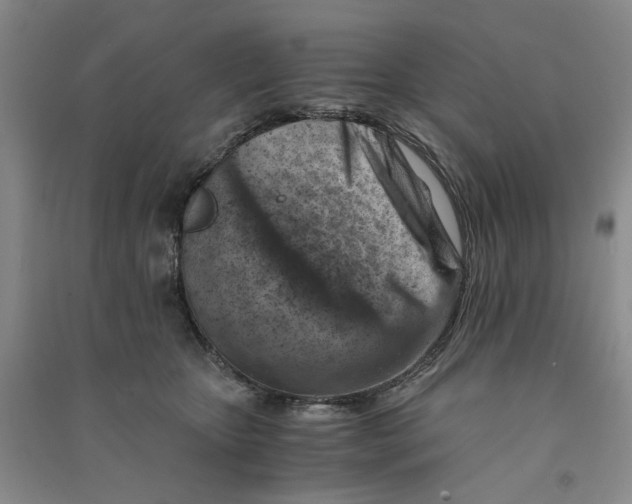 X0000090880467200708171649