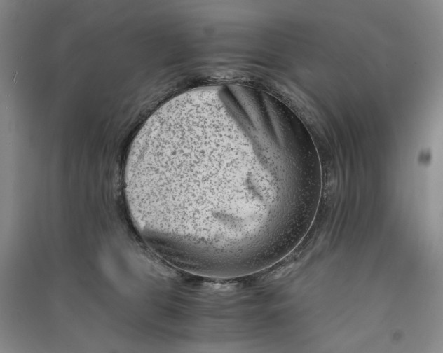 X0000090880469200708171649