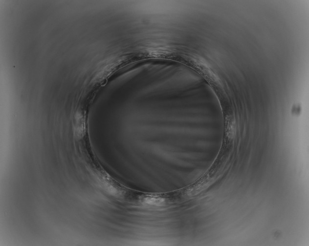 X0000090880471200708171649