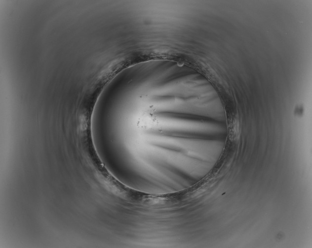 X0000090880472200708171649