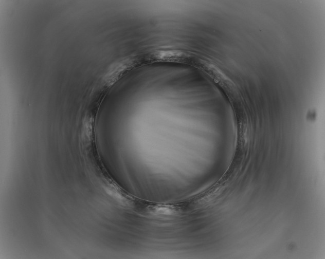 X0000090880475200708171649