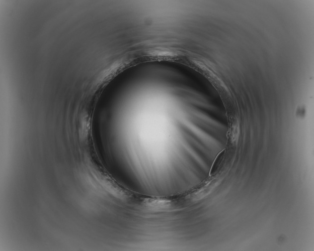 X0000090880476200708171649