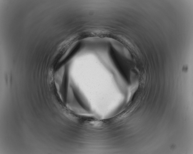 X0000090880478200708171649