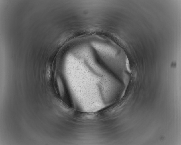 X0000090880479200708171649