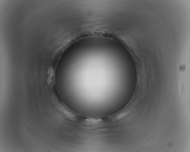 X0000090880480200708171649