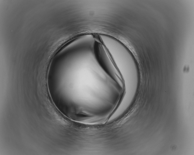 X0000090880481200708171648