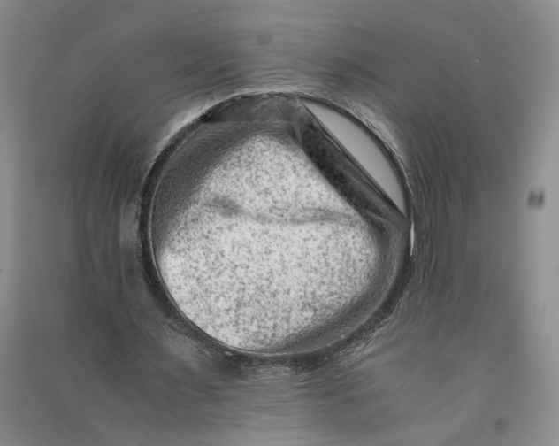 X0000090880483200708171648