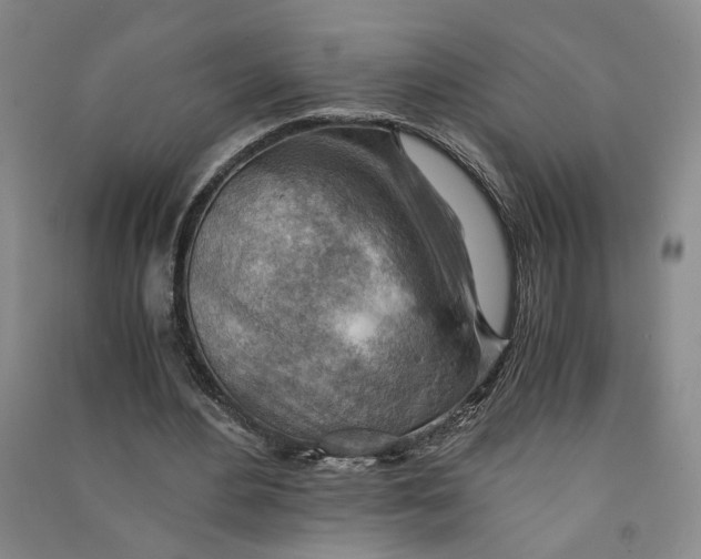 X0000090880484200708171648