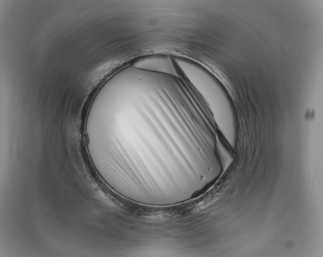 X0000090880485200708171648