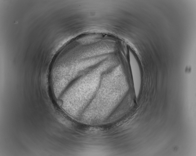 X0000090880487200708171648