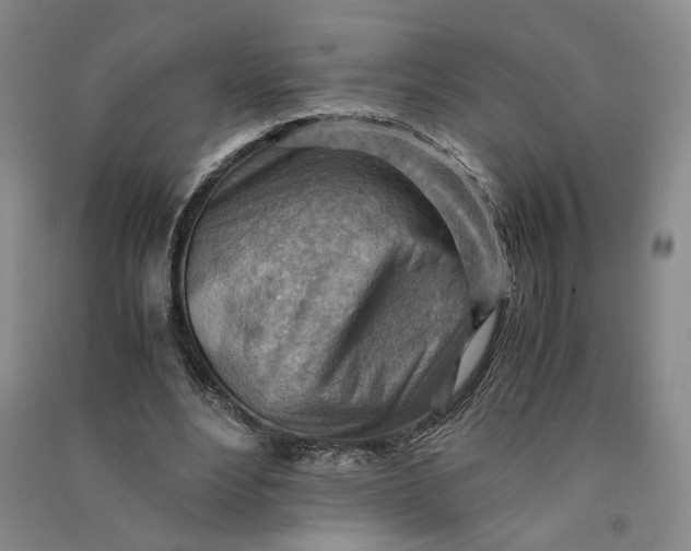 X0000090880488200708171648