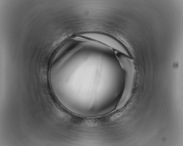 X0000090880489200708171648