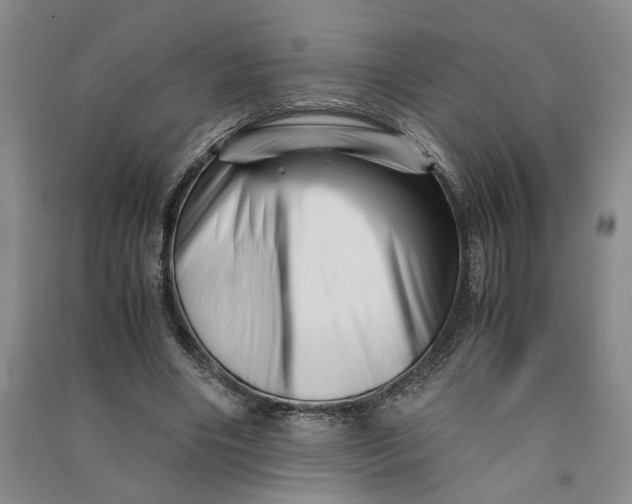 X0000090880490200708171648