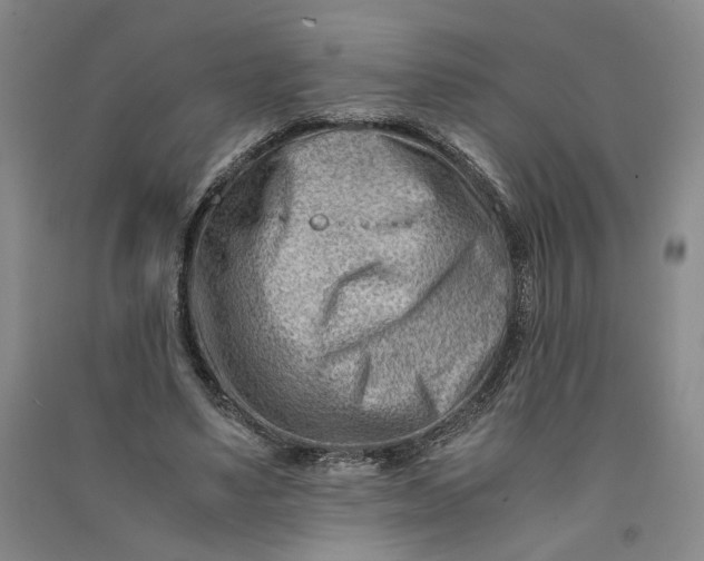 X0000090880491200708171648