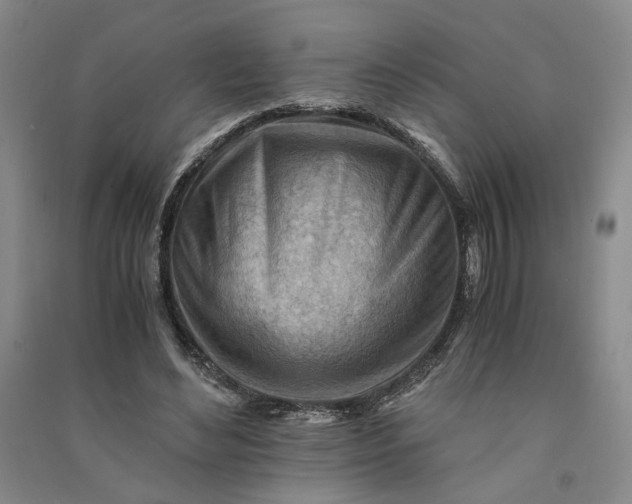 X0000090880492200708171648