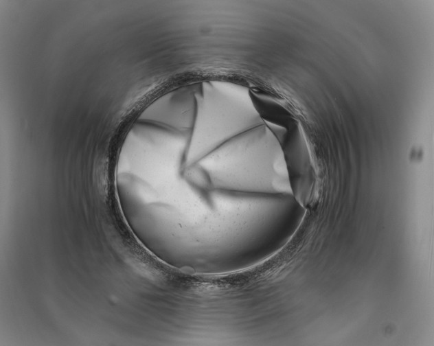 X0000090880494200708171648