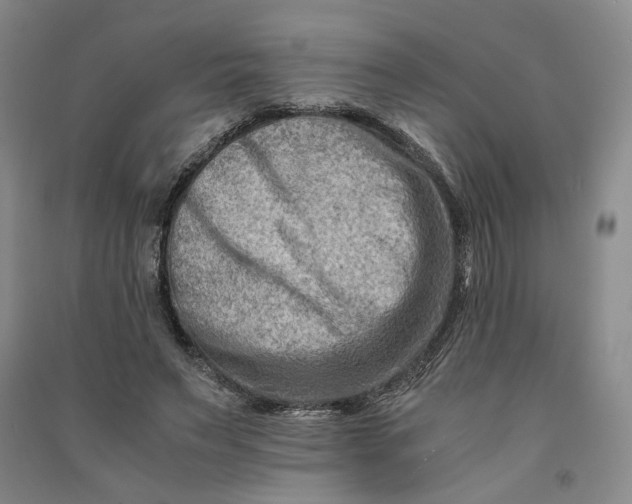 X0000090880495200708171648